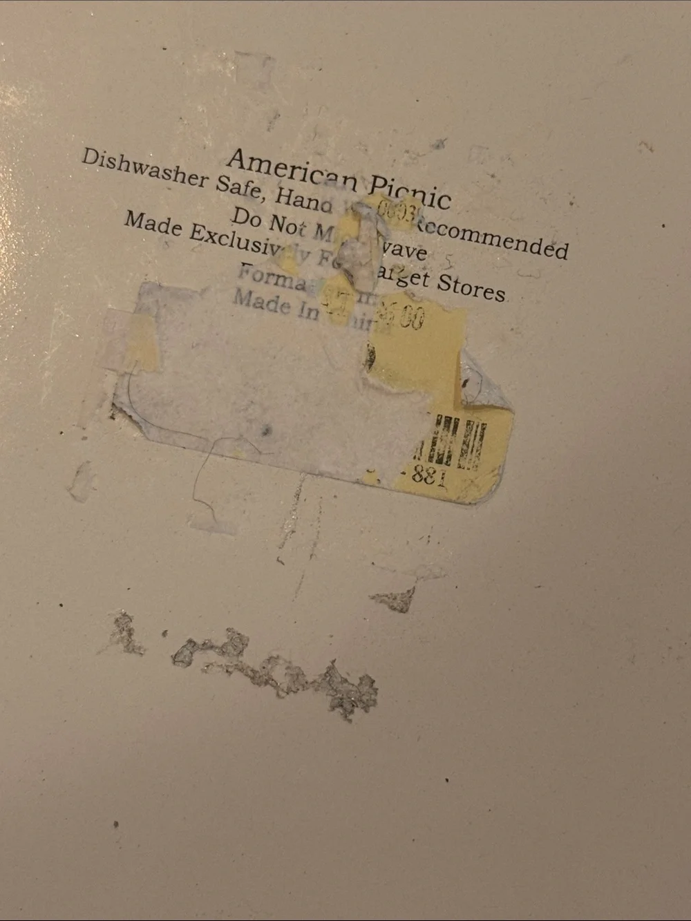 NWOT Target American Picnic Enamel Plate 11”White With Blue Trim Rope Metal NEW!